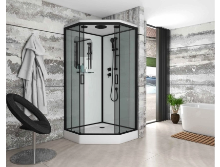 Душевая кабина Niagara Premium NG-6901-01D Black 90x90 с низким поддоном, тонированным стеклом 69010134DBLACK - фото 2