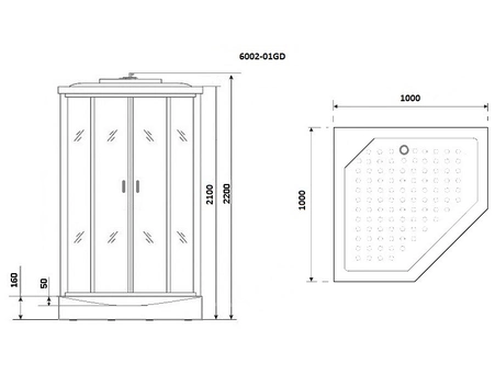 Душевая кабина Niagara Premium NG-6002-01GD 100x100 с низким поддоном, прозрачным стеклом 60020114GD - фото 3