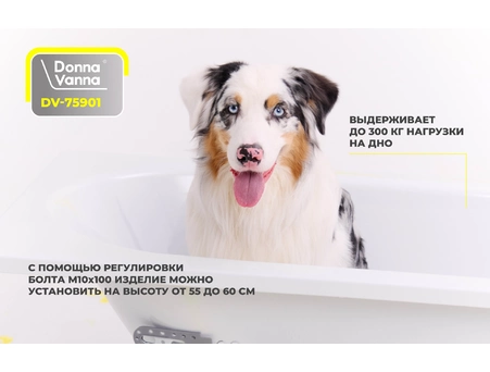 Стальная ванна ВИЗ Donna Vanna 170x70 белая орхидея (с ножками) DV-75901 - фото 5